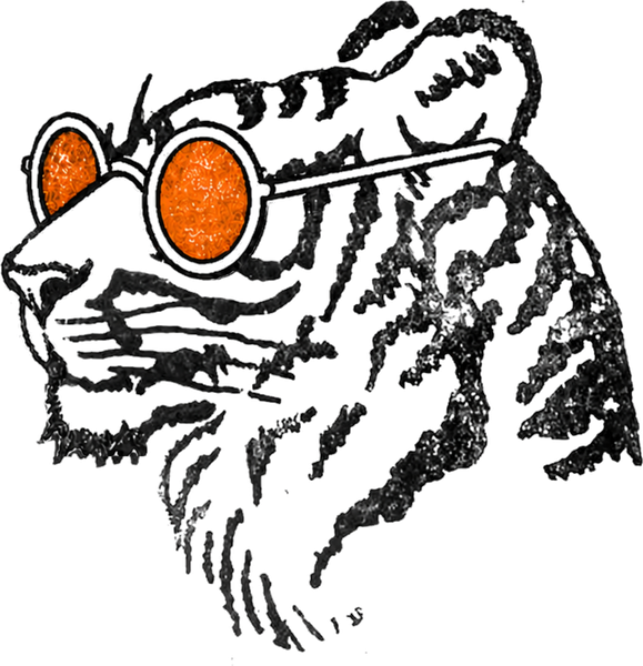 BlackTiger Growth